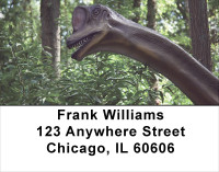 Dinosaurs Roaming Forests & Lakes Address Labels | LBANK-02