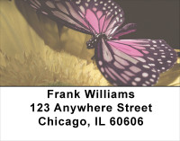 Butterfly Perspective  Address Labels