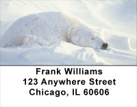 Polar - Cozy Address Labels | LBANK-15