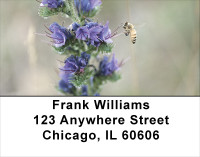 Busy Bees Address Labels | LBANK-16