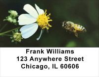 Busy Bees Address Labels | LBANK-16