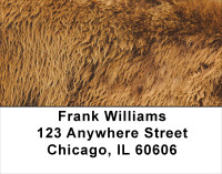 Buffalo Hides Address Labels | LBANK-21