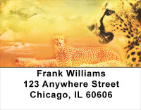 Cheetahs Address Labels | LBANK-27