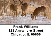 Whitetail Deer Address Labels | LBANK-30