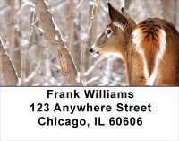 Whitetail Deer Address Labels | LBANK-30