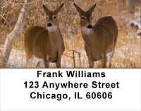Whitetail Deer Address Labels | LBANK-30