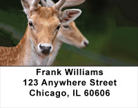 Deer Closeups Address Labels | LBANK-31