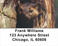 Ferrets Address Labels | LBANK-34