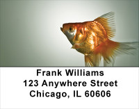Goldfish Address Labels | LBANK-35