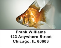 Goldfish Address Labels | LBANK-35
