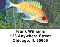 Tropical Fish Address Labels | LBANK-36