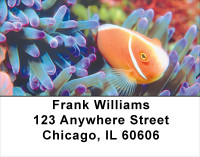 Tropical Fish Address Labels | LBANK-36