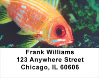 Tropical Fish Address Labels | LBANK-36
