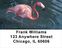 Flamingos In Wild Address Labels | LBANK-37