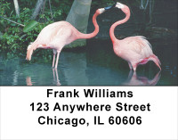 Flamingos In Wild Address Labels | LBANK-37