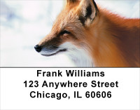 Foxy Address Labels