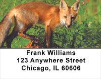Out Foxed Address Labels | LBANK-40