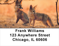 Out Foxed Address Labels | LBANK-40