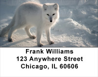 White Fox Address Labels | LBANK-41