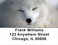 White Fox Address Labels | LBANK-41