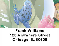 Fantasy Frogs Address Labels | LBANK-42