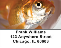 Goldfish Address Labels | LBANK-44