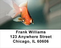 Goldfish Address Labels | LBANK-44