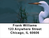 Great White Egret Address Labels | LBANK-45