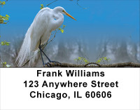 Great White Egret Address Labels | LBANK-45