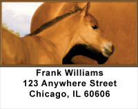 Colts Address Labels | LBANK-47