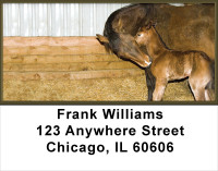 Colts Address Labels | LBANK-47