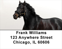 Black Stallions Address Labels | LBANK-52