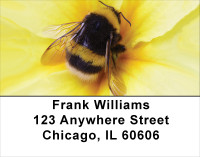Bumble Bees Address Labels