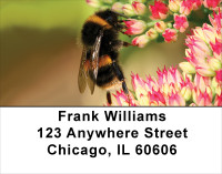 Bumble Bees Address Labels | LBANK-53