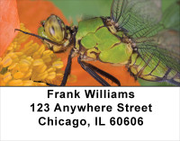 Insects On Flowers Address Labels | LBANK-54