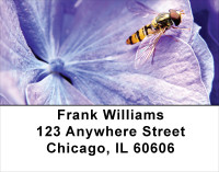 Insects On Flowers Address Labels | LBANK-54