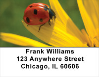 Insects On Flowers Address Labels | LBANK-54