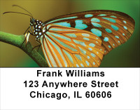Butterfly Bonanza Address Labels | LBANK-61
