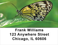 Butterfly Bonanza Address Labels | LBANK-61
