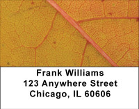 Falling Leaves Examined Address Labels | LBBBA-23