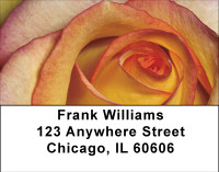 Everything Is Coming Up Roses Address Labels
