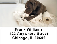 Takin Care Of Business Address Labels | LBBBB-09