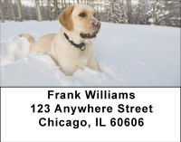 Labs For All Seasons Address Labels | LBBBB-11