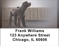 Portuguese Water Dogs Address Labels | LBBBB-20