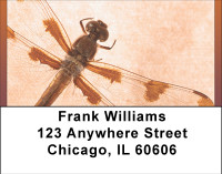 Dragonfly Days Address Labels | LBBBB-33