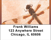 Dragonfly Days Address Labels | LBBBB-33