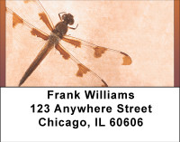 Dragonfly Days Address Labels | LBBBB-33
