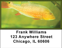 Fish Splender Address Labels | LBBBB-36