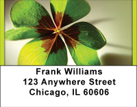 Grab Your Share Of Luck Address Labels