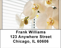 It&#039;s A New Day Address Labels